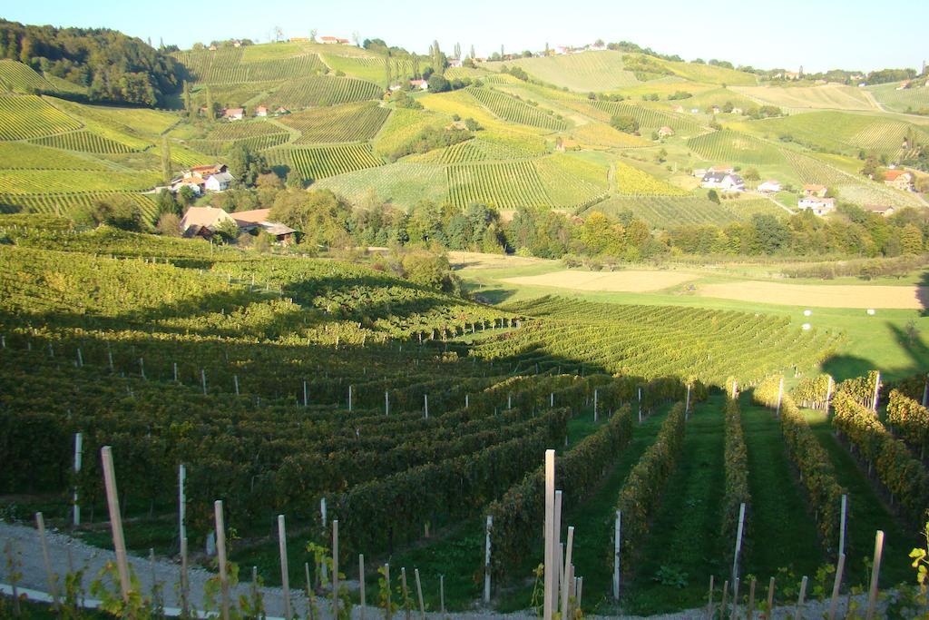 Farm Stay Jarc Vineyard Svečina エクステリア 写真