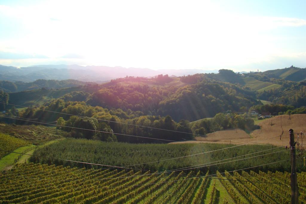 Farm Stay Jarc Vineyard Svečina エクステリア 写真