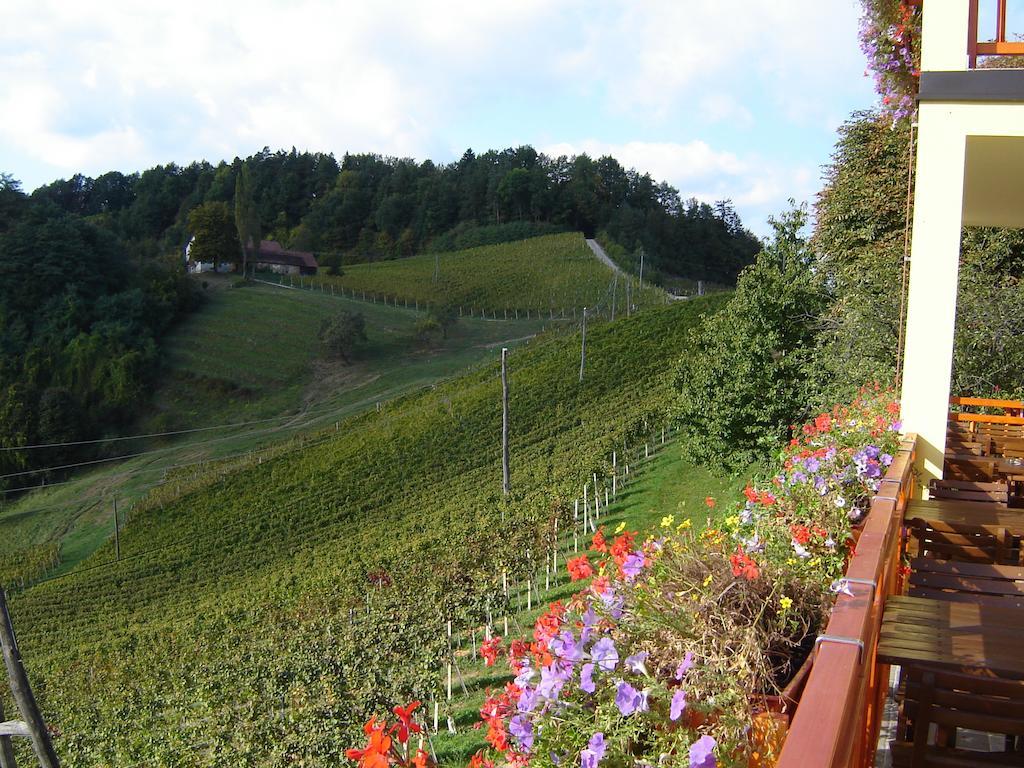 Farm Stay Jarc Vineyard Svečina エクステリア 写真
