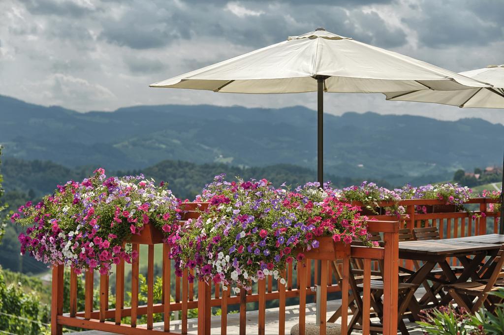 Farm Stay Jarc Vineyard Svečina エクステリア 写真