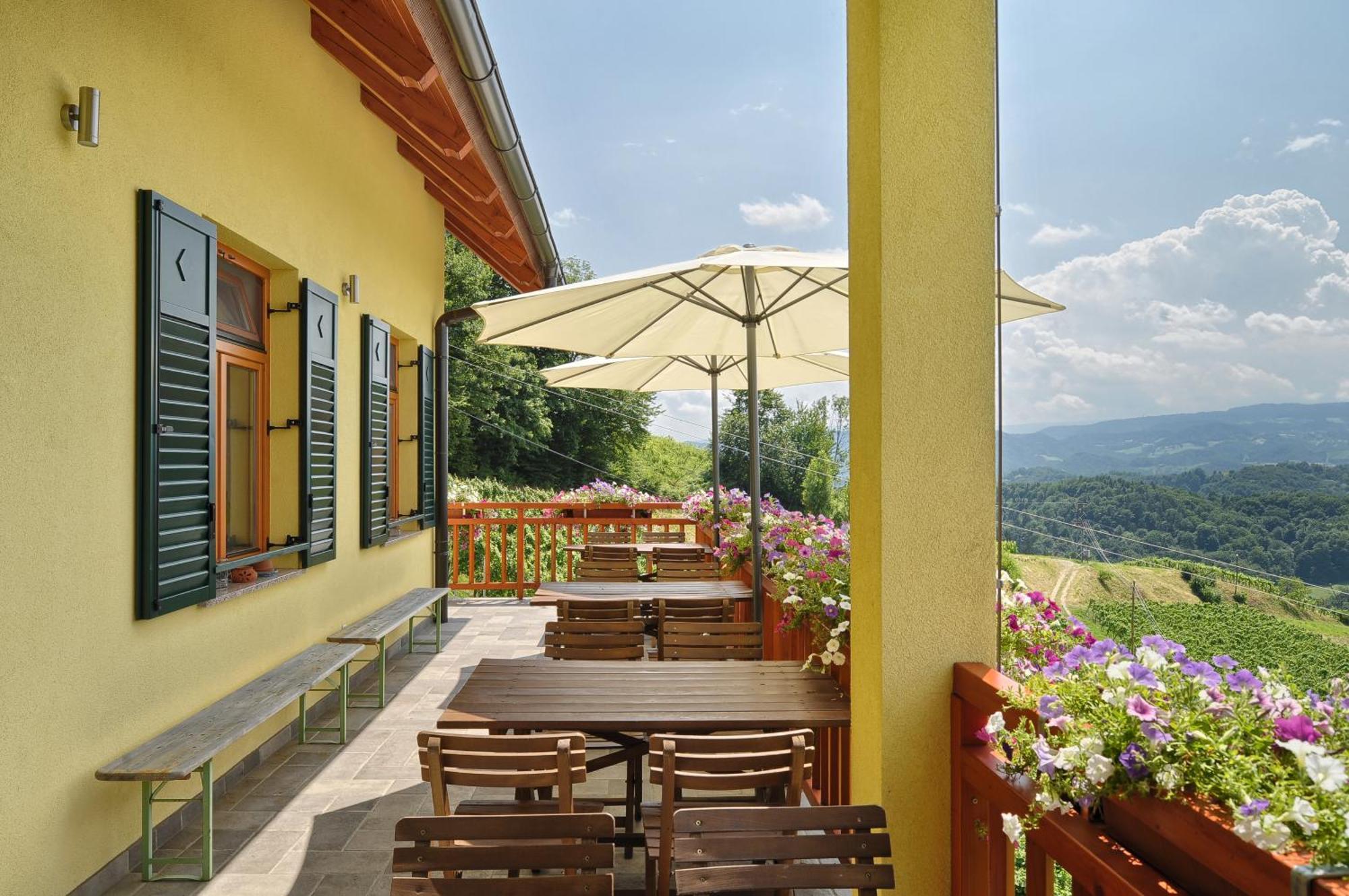 Farm Stay Jarc Vineyard Svečina エクステリア 写真