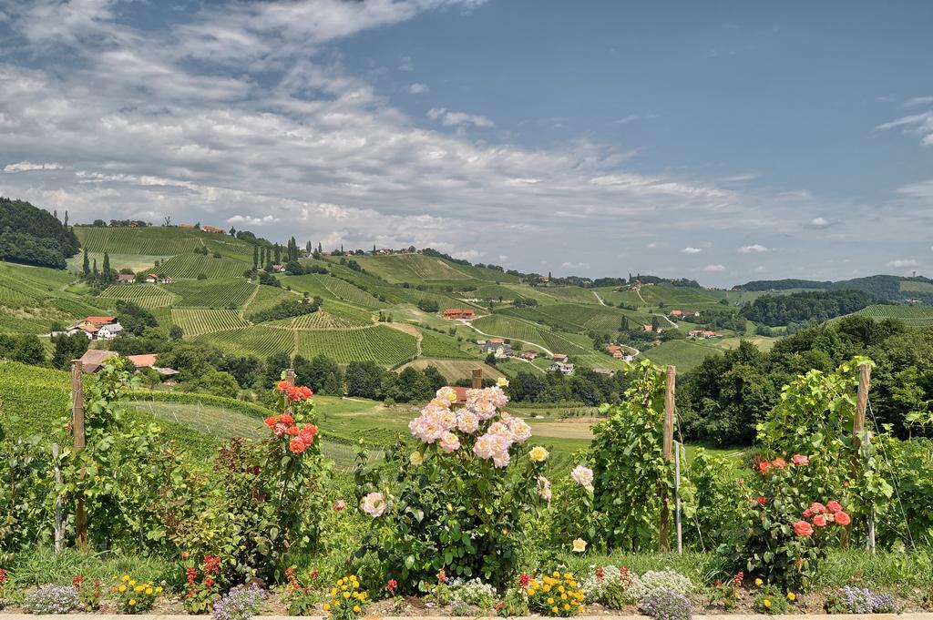 Farm Stay Jarc Vineyard Svečina エクステリア 写真